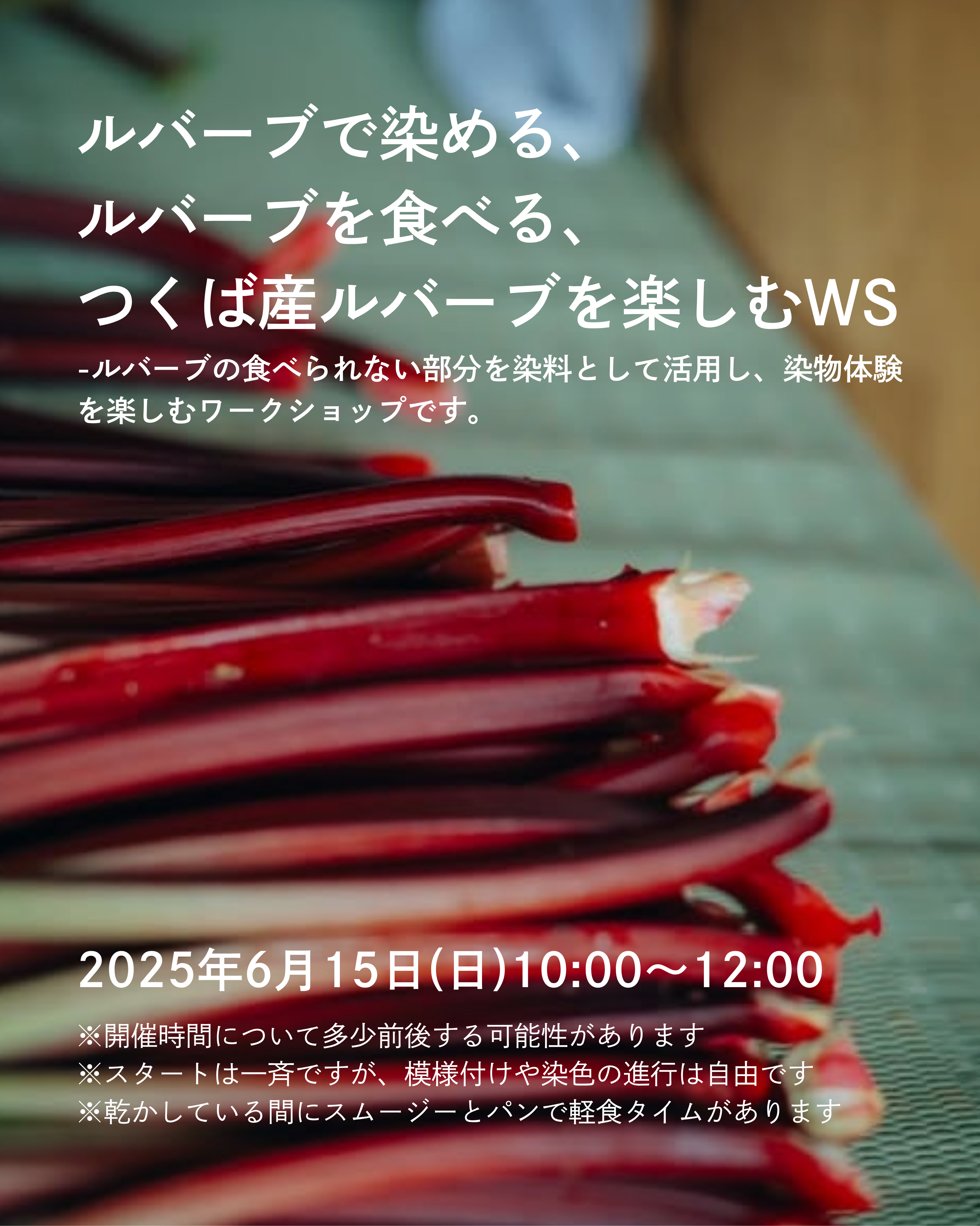 ルバーブ1