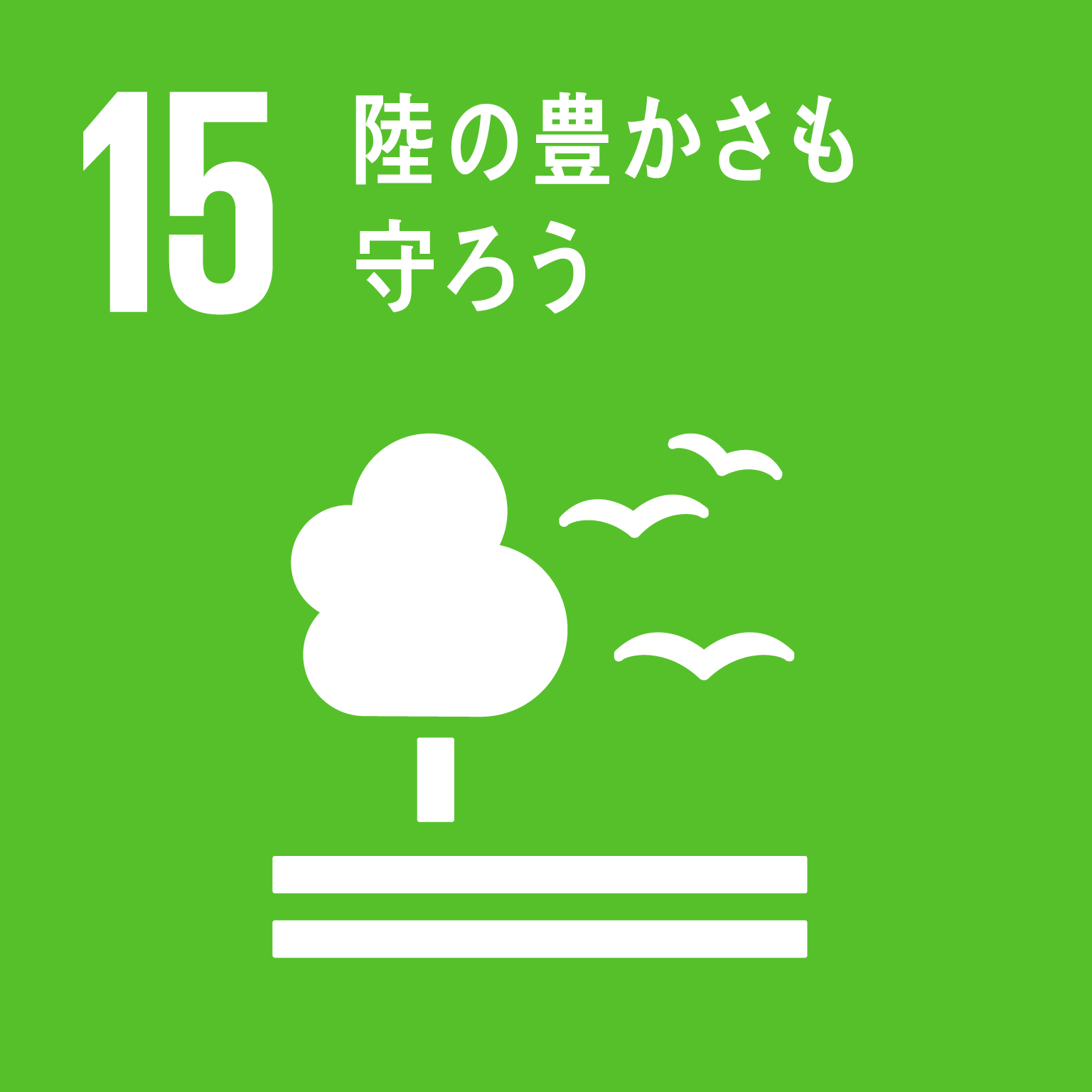 15＿陸の豊かさも守ろう